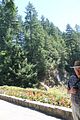 130 - Butchard Gardens  - IMG_1632